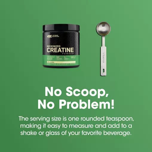 Optimum Nutrition Micronized Creatine Powder Unflavored 0.66 lb (60 Servings) | 421503-IRH